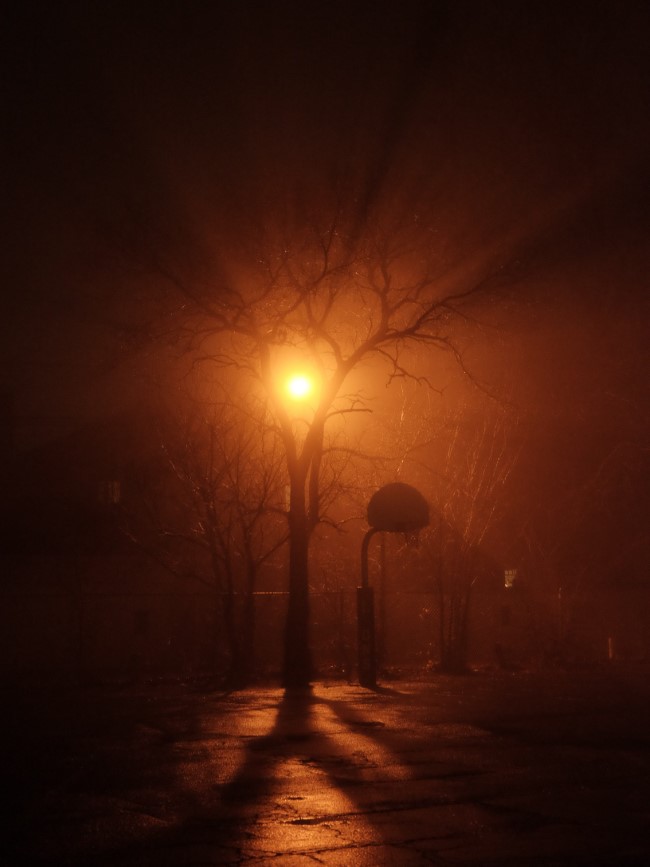 a tree and a basketball hoop, seen from across an empty parking lot at night. there is thick fog and a sodium lamp behind the tree, leaving shadows visible in the fog closer to the camera.